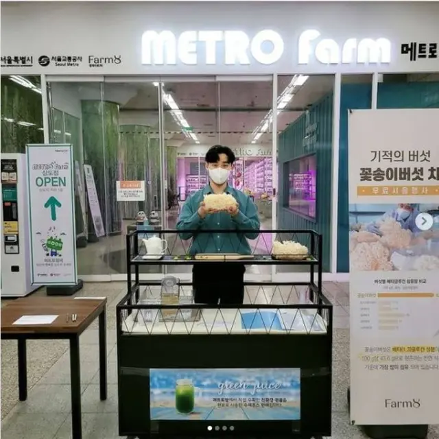 Ada Kebun Sayur Modern di Stasiun Kereta Bawah Tanah Korea Selatan
