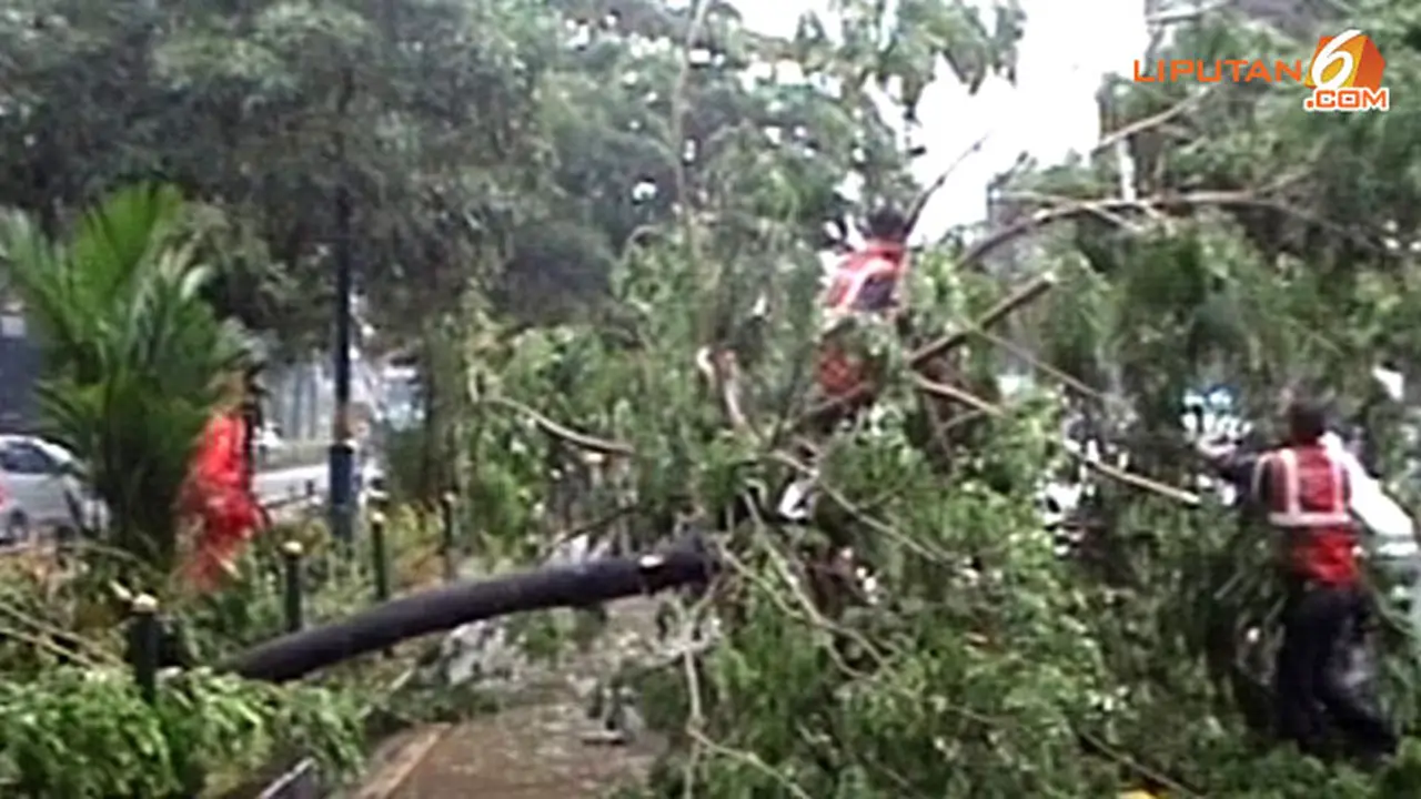 pohon-tumbang-140222c.jpg