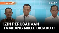 4 Perusahaan Tambang Nikel di Raja Ampat Dicabut!