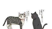 Kucing mencari kucing  (Sumber: Twitter/reply_drawing)