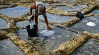 Tekan Impor, Pemerintah Diminta Susun Roadmap Pengembangan Garam Industri