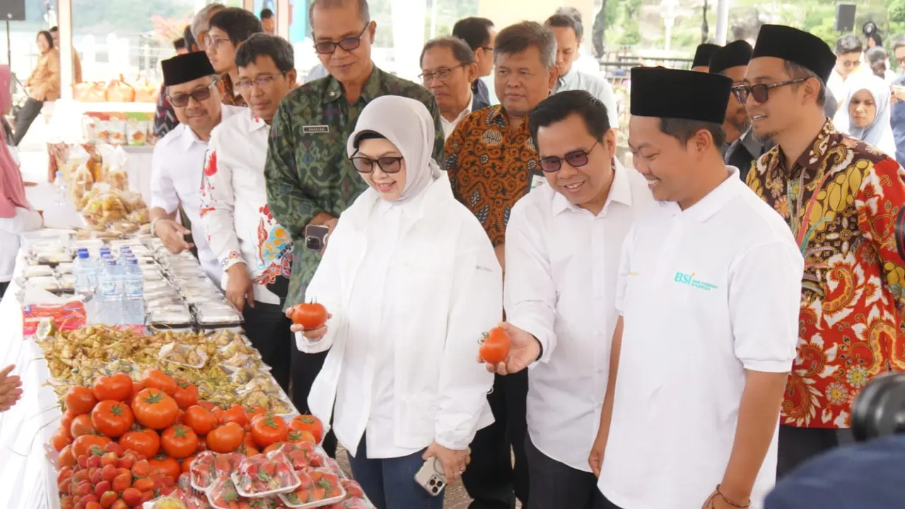 BSI telah membangun 35 Sentra UMKM yang tersebar di seluruh Indonesia, termasuk di Sumatera, Jawa, Bali, Kalimantan, dan Sulawesi.