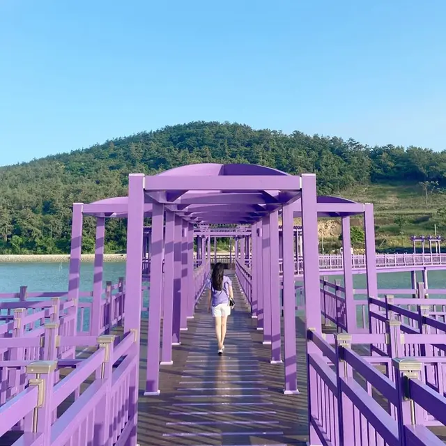 Pulau di Negara Ini Identik dengan Warna Ungu, 6 Potretnya Bikin Kagum