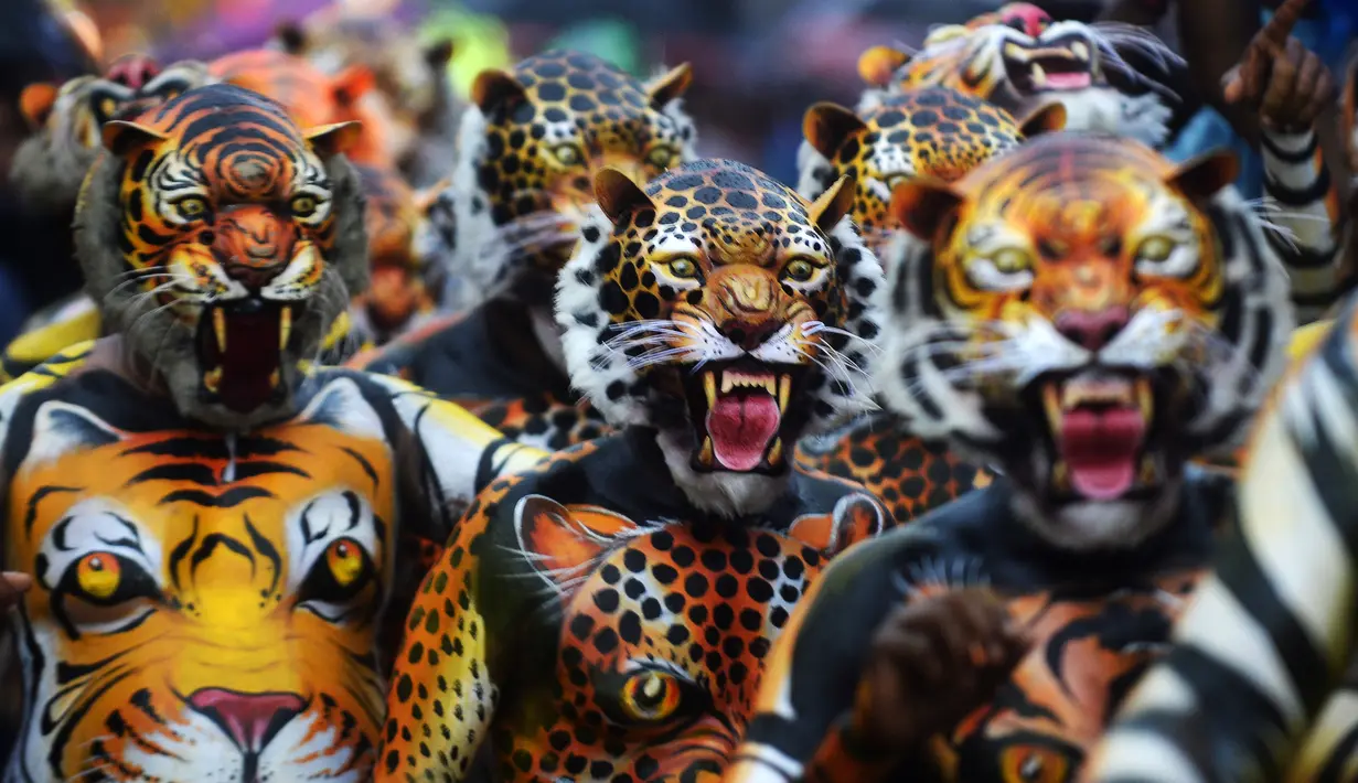 Peserta dengan tubuh dilukis seperti harimau saat ambil bagian dalam 'Pulikali', atau tarian harimau, di Thrissur, India (7/9). Acara kesenian rakyat ini diadakan setiap tahun di kota selama festival 'Onam'. (AFP Photo/Arun Sankar)