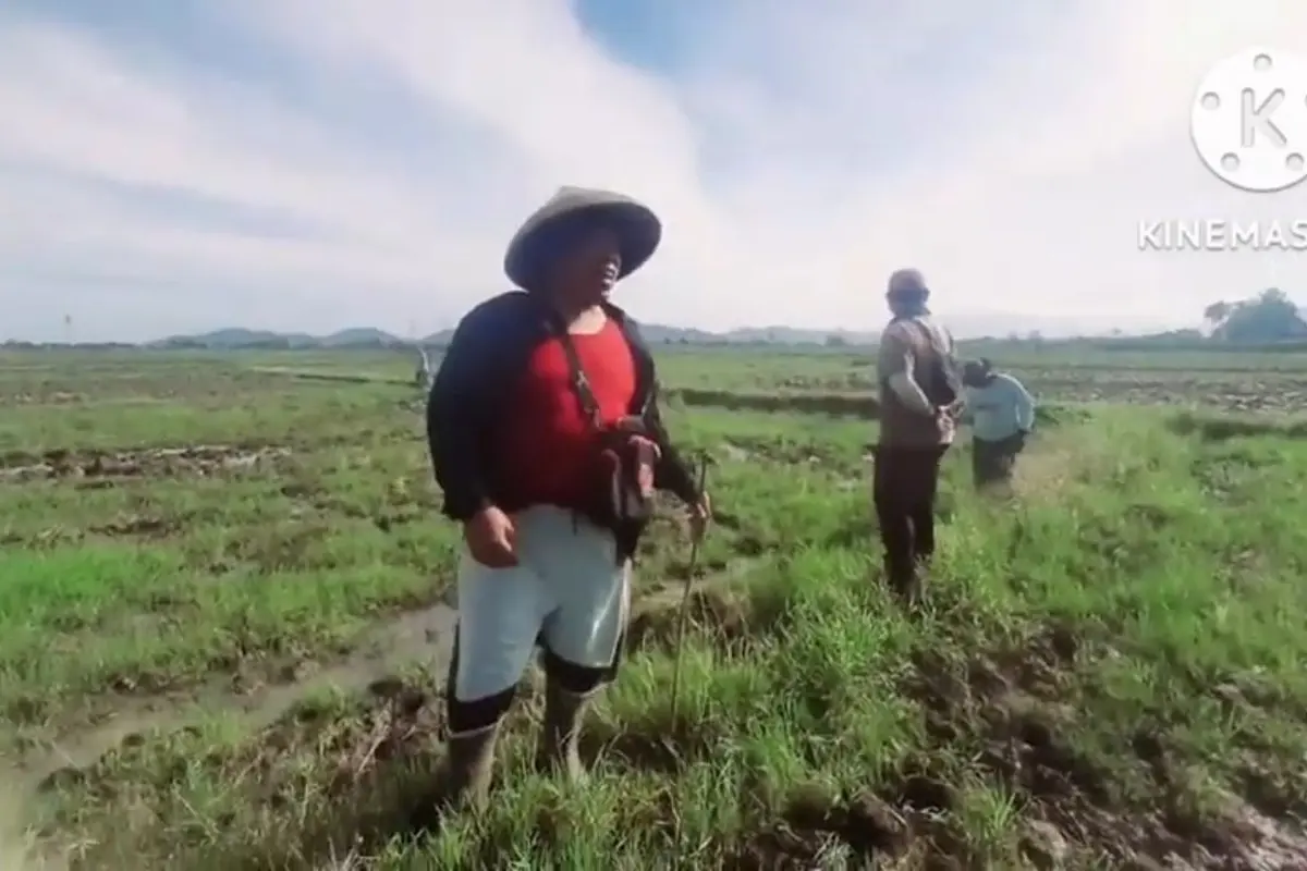 Penelitian Petani di Cianjur