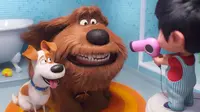 The Secret Life of Pets 2. (Universal Pictures/Illumination)