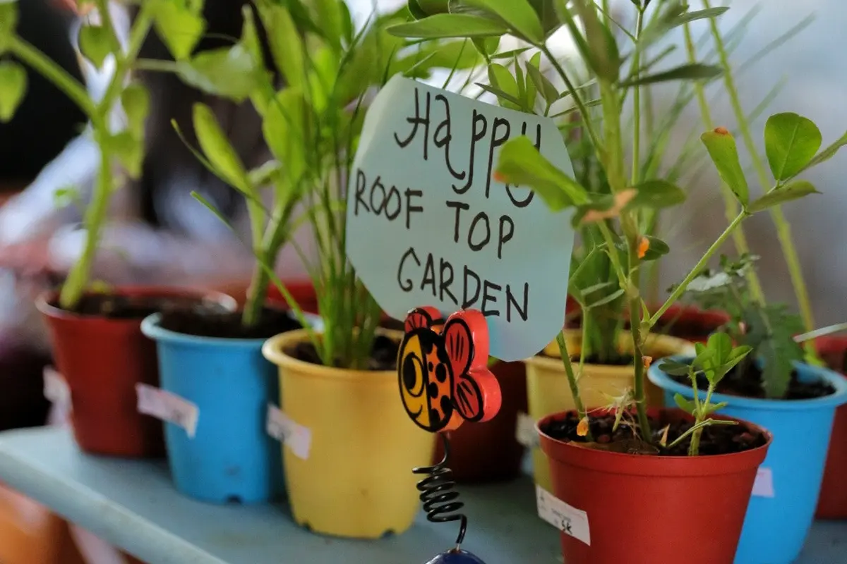[Fimela] Komunitas Urban Farming Jakarta: Ajak masyarakat berkebun di rumah