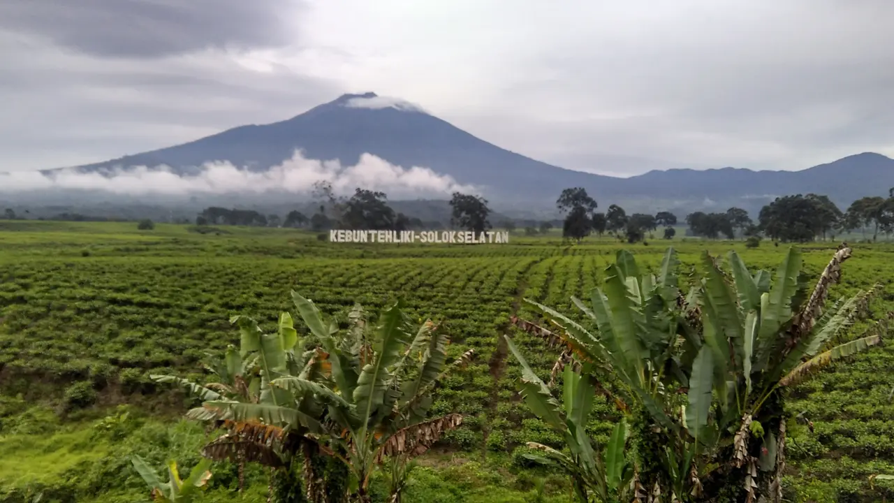 Pagi Menggigil Ditemani Gagahnya Kerinci