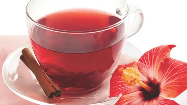 [Bintang] Teh Kembang Sepatu