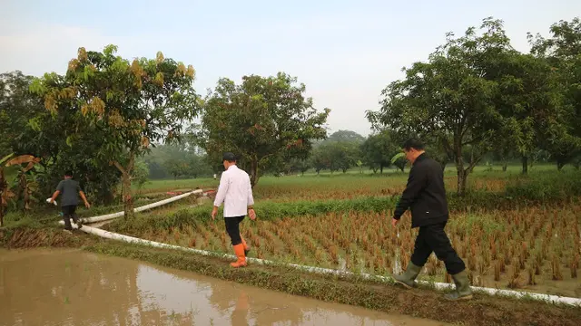 Kementan