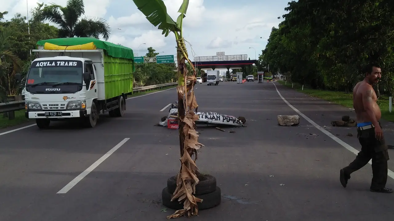 Aksi Protes, Pohon Pisang Tegak Berdiri di Jalan Tol Makassar