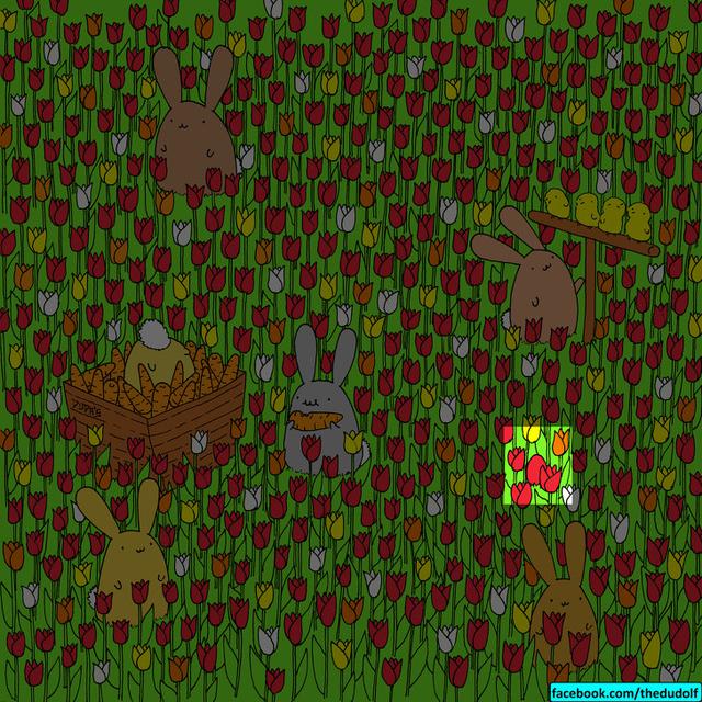 Tes Kejelian Mata Temukan Objek Tersembunyi Dalam Gambar Gambar