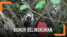 Akibat terbakar api cemburu, seorang pria nekat mengeroyok selingkuhan istrinya hingga tewas. Tak puas, mayatnya dibuang ke hutan.