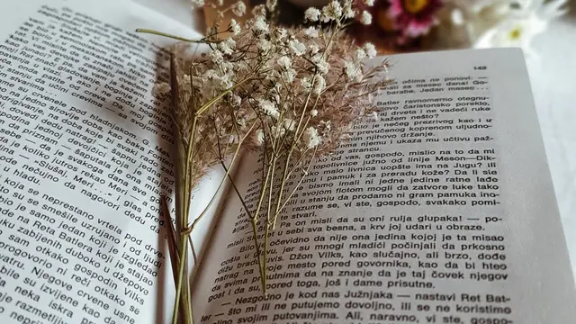 Kutipan Romantis Novel Sunshine Becomes You Bagian III