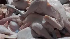 Ayam Kampung Lebih Sehat dari Broiler? Ahli Ungkap Beda Kandungan Gizinya