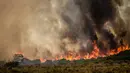 Kebakaran melanda kawasan Somerset West dekat Cape Town, Afrika Selatan, Rabu (4/1). Kebakaran tersebut telah menghancurkan sebagian wilayah perkebunan tertua di Afsel. (AP Photo / Stefan Smuts)