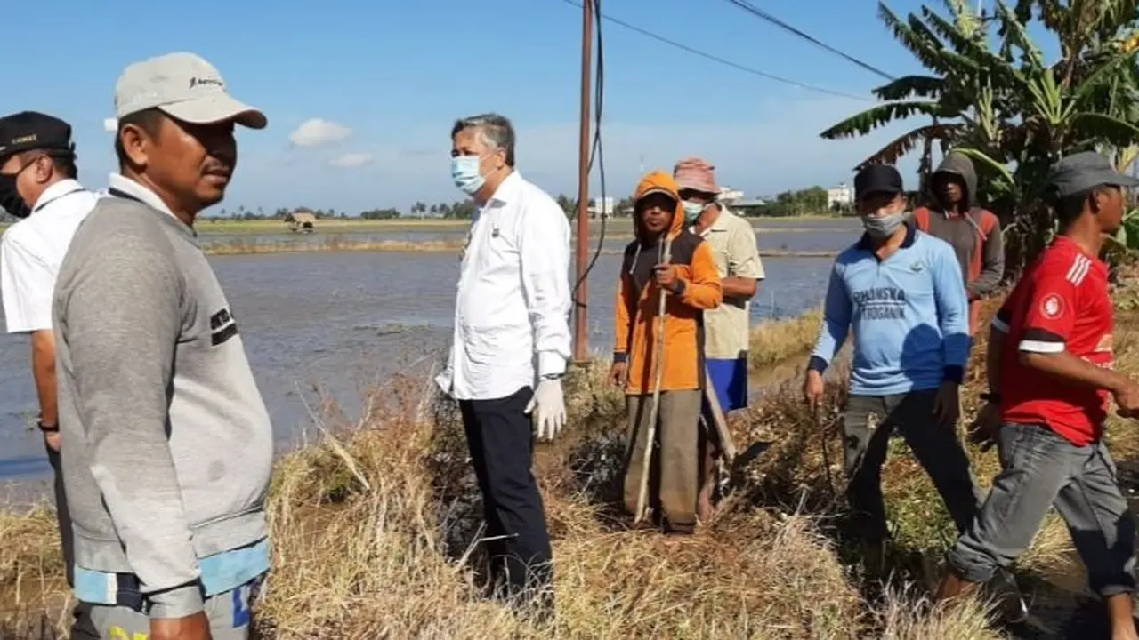 Dinas Pertanian dan Hortikultura melakukan Gerakan Pengendalian (Gerdal) hama tikus di Desa Mattunru-tunrue, Kecamatan Cempa, Pinrang, Sulawesi Selatan. (Dok Kementan)