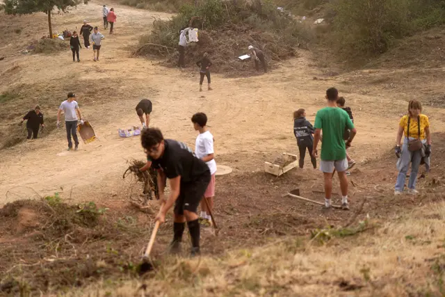 Area Hutan Pegunungan di Spanyol Dibersihkan