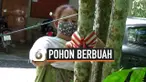 vertical pohon