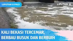 Kali Bekasi yang biasanya jernih kini berubah warna menjadi keruh kecokelatan dan mengeluarkan busa hingga bau menyengat. Diduga busa putih berasal dari limbah industri. Warga yang tinggal di bantaran kali merasa terganggu dengan bau menyengat.