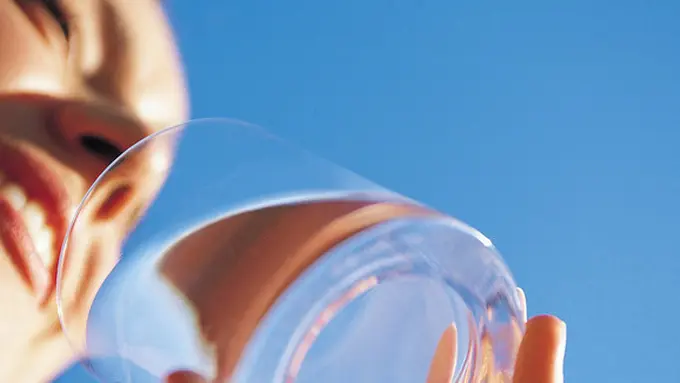 copyright by Shutterstock.com