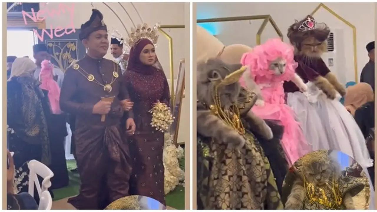 Viral Momen Kucing Jadi Bridesmaid ketika Pemiliknya Menikah, Ekspresinya Kocak
