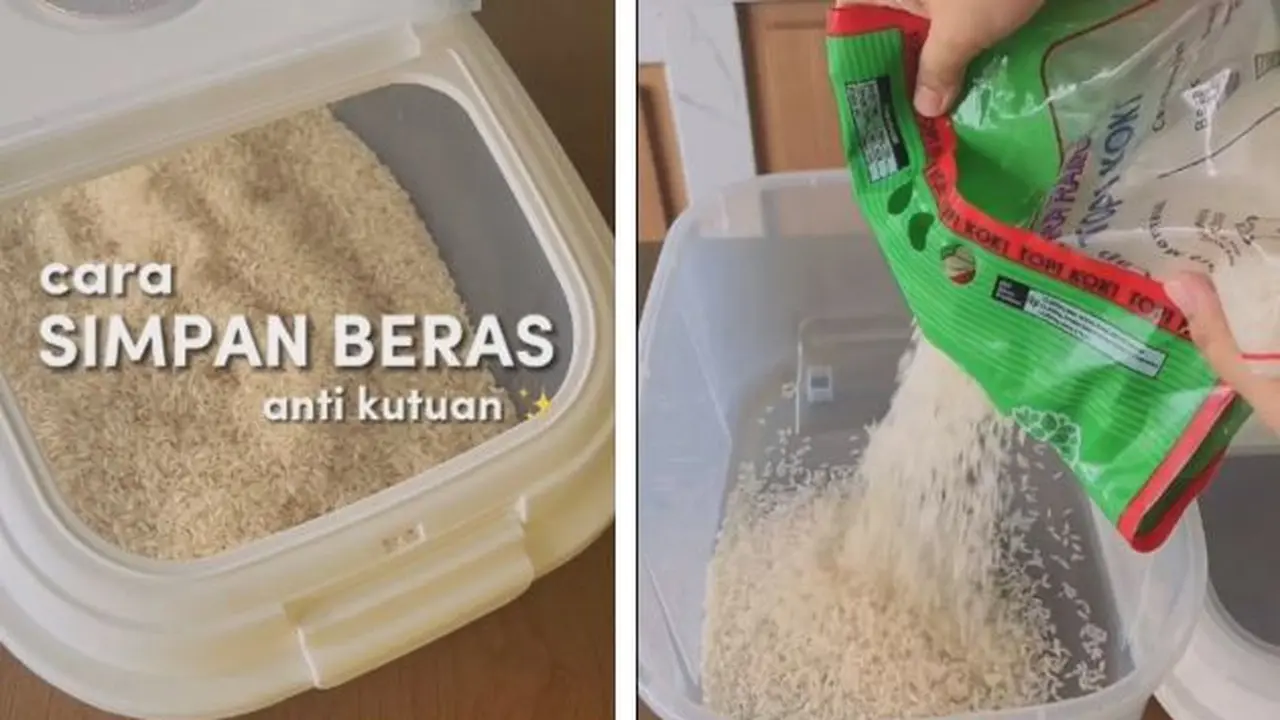 Tanpa Daun Jeruk atau Pandan, Cara Simpan Beras Seperti Ini Anti Kutu dan Bau Apek - Cuma Pakai 1 Bahan Dapur