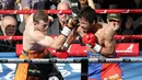 Petinju Filipina, Manny Pacquiao dan petinju Australia, Jeff Horn saling memukul pada perebutan sabuk juara kelas welter versi WBO di Stadion Suncorp, Brisbane, Minggu (2/7). Horn yang tak diunggulkan justru mampu mengalahkan Pacquiao (AP/Tertius Pickard)