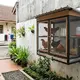 Kandang Ayam Tempel Dinding Model Lemari Gantung. [Gemini AI]