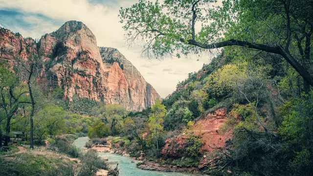 Zion National Park