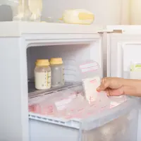 Cara menyimpan ASI di kulkas dengan benar./Copyright shutterstock.com