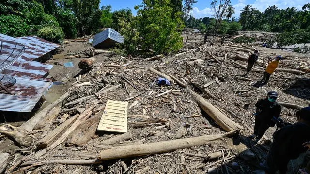 Tidak Hanya Manusia, Gajah Pun Jadi Korban Bencana Banjir Aceh