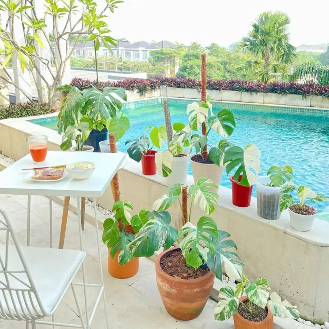 Kebun Titi Kamal di Rumahnya