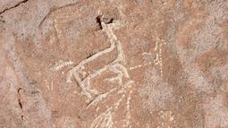 Lukisan hewan llama terpampang di dinding batu cadas Gua Taira Calama, Chile, Minggu (21/7). Lukisan ini menunjukkan pentingnya llama bagi kehidupan penggembala di padang pasir kuno. (Martin Bernetti/AFP)