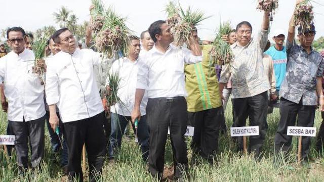 Setahun Menjabat, Mentan Sukses Stabilkan Harga Bawang Merah