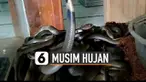 Musim hujan tiba, sejumlah ular muncul hebohkan warga. Namun nyatanya hewan berbahaya lainnya juga bisa datang.