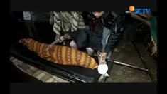 Dokter forensik yang memeriksa jasad bocah SD itu menemukan indikasi adanya penyakit bawaan yang menjadi penyebab utama tewasnya Saeful.