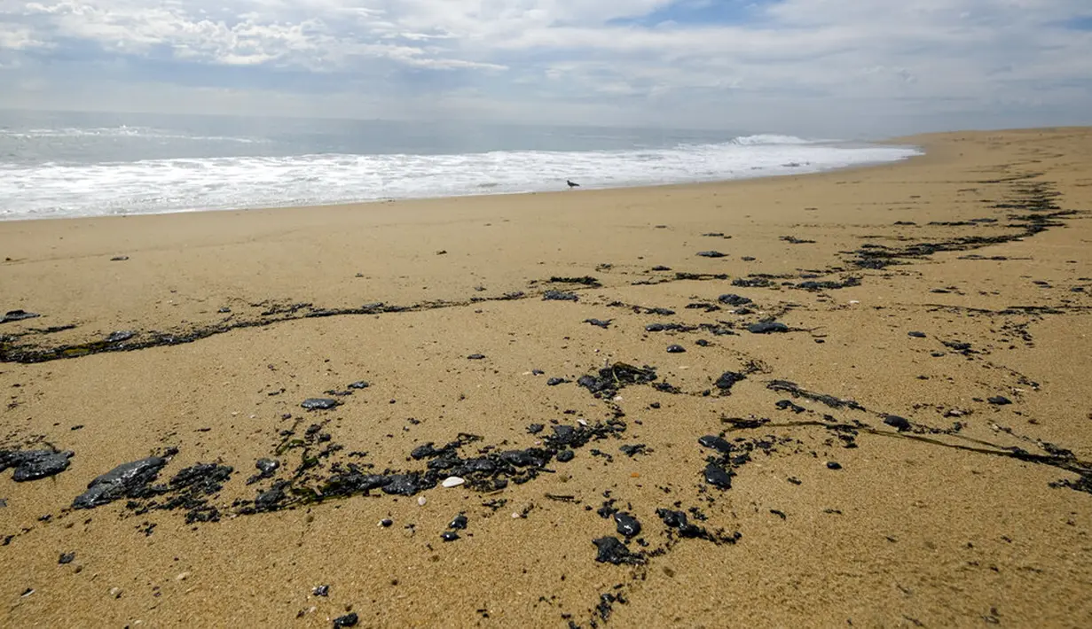 Minyak mencemari sebuah pantai di Pantai Newport, California, Amerika Serikat, 4 Oktober 2021. Tumpahan minyak terjadi akibat kebocoran pipa pengebor minyak. (AP Photo/Ringo H.W. Chiu)