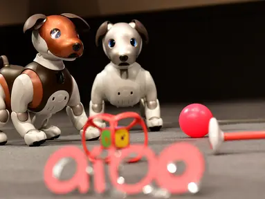 Robot versi ukuran anak anjing "Aibo" ditampilkan selama konferensi pers di Tokyo pada 23 Januari 2019. Perusahaan elektronik, Sony, memperkenalkan robot anjing yang dilengkap dengan kecerdasan buatan, kemampuan internet, dan kamera. (Kazuhiro NOGI/AFP)