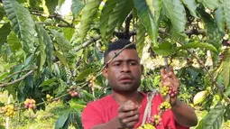 Salah satu produsen kopi terkenal di Indonesia ternyata ada yang berasal dari Papua, tepatnya di kampung Ambaidiru di Kab. Kepulauan Yapen, Provinsi Papua. (Foto: Dok BRI)