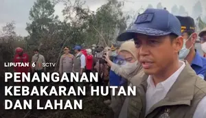 Menteri Kehutanan Cek Penanganan Karhutla di Kalimantan