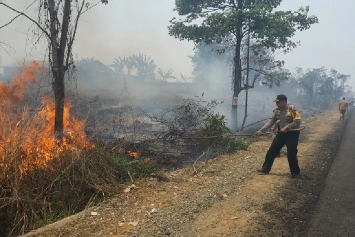 Kebakaran Hutan dan Lahan