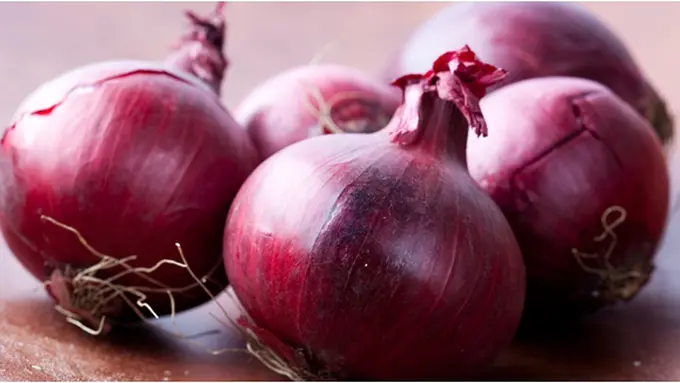 Courtesy ShutterStock.com