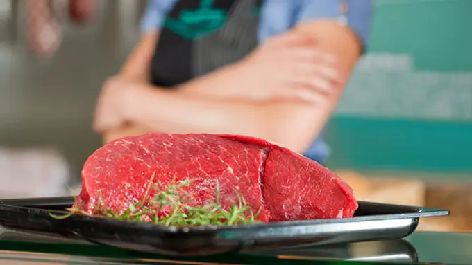 copyright by Shutterstock.com