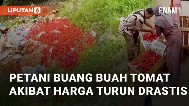 Sejumlah petani di Solok, Sumatra Barat, membuang tomat mereka ke jurang. Aksi ini dilakukan karena anjloknya harga tomat di daerah tersebut