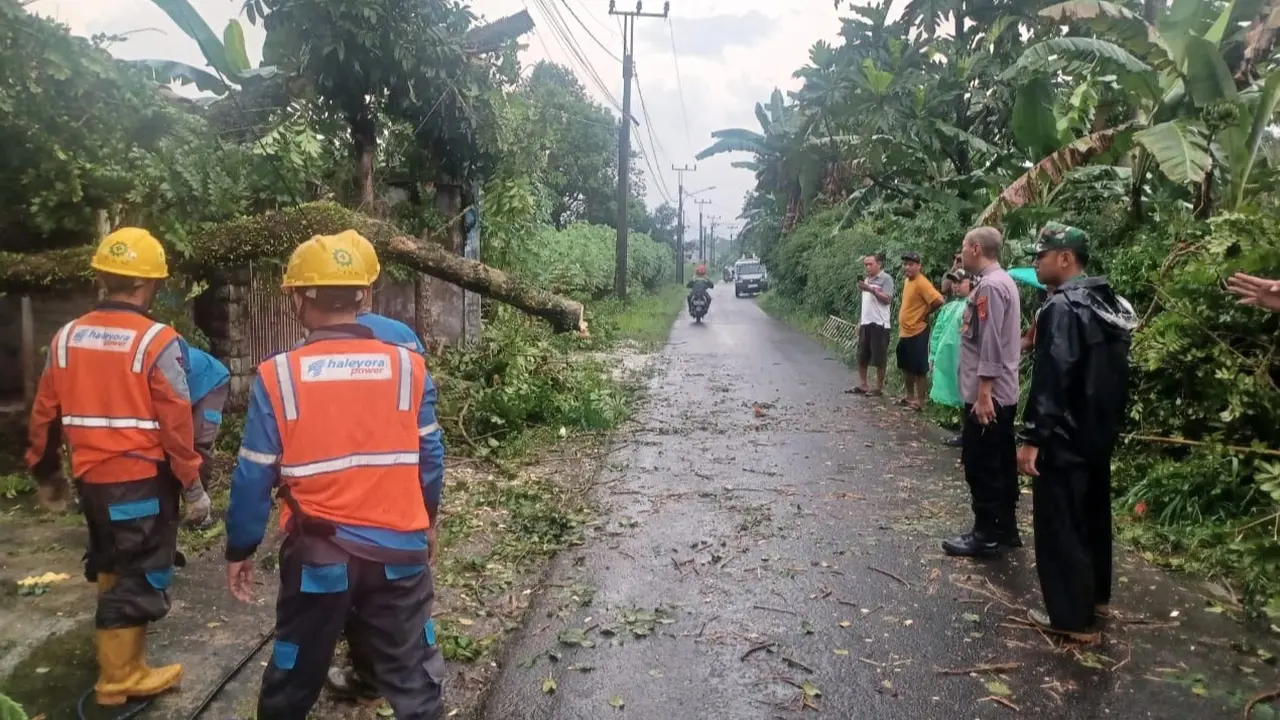 Badan Penanggulangan Bencana Daerah (BPBD) Kabupaten Bogor melakukan penanganan dampak dari hujan deras yang mengguyur.