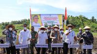 Gubernur Sulawesi Barat Ali Baal Masdar saat pencanangan penanaman kedelai di Kecamatan Tinambung, Polman (Foto: Liputan6.com/Abdul Rajab Umar)
