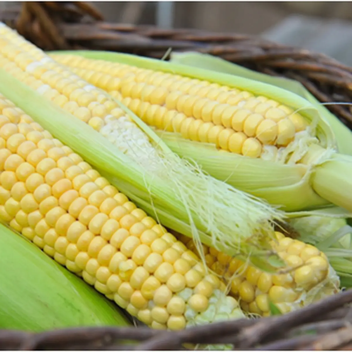 Benarkah Makan Jagung Bikin Gemuk? - Beauty Fimela.com
