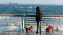 Seorang pria dan anjingnya melihat pagar pantai yang membeku akibat dinginnya suhu di Dalian, provinsi Liaoning (25/11/2015). (REUTERS / Stringer)