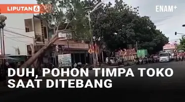 Bagi sebagian orang, menebang pohon dianggap hal yang mudah. Namun sejatinya menebang pohon perlu perhitungan agar tidak menyebabkan kecelakaan seperti yang baru-baru ini viral. Upaya penebangan pohon justru menyebabkan sebuah toko terkena imbas.